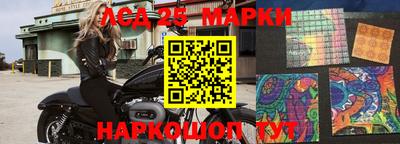 стаф Кандалакша