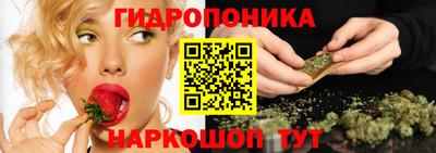 стаф Кандалакша