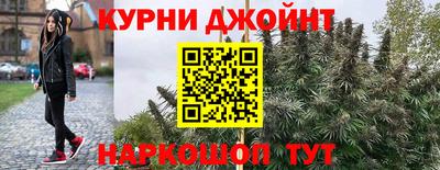 ALPHA-PVP Камышлов