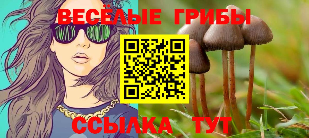 Псилоцибиновые грибы Magic Shrooms  Вход с VPN  Благовещенск 